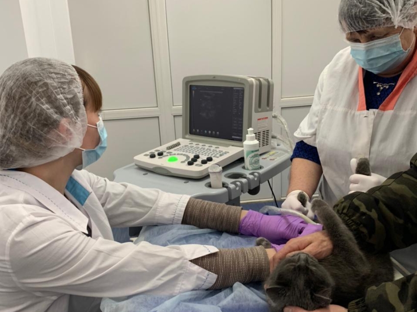 Новое оборудование появилось в ветеринарной клинике Борзинского района 